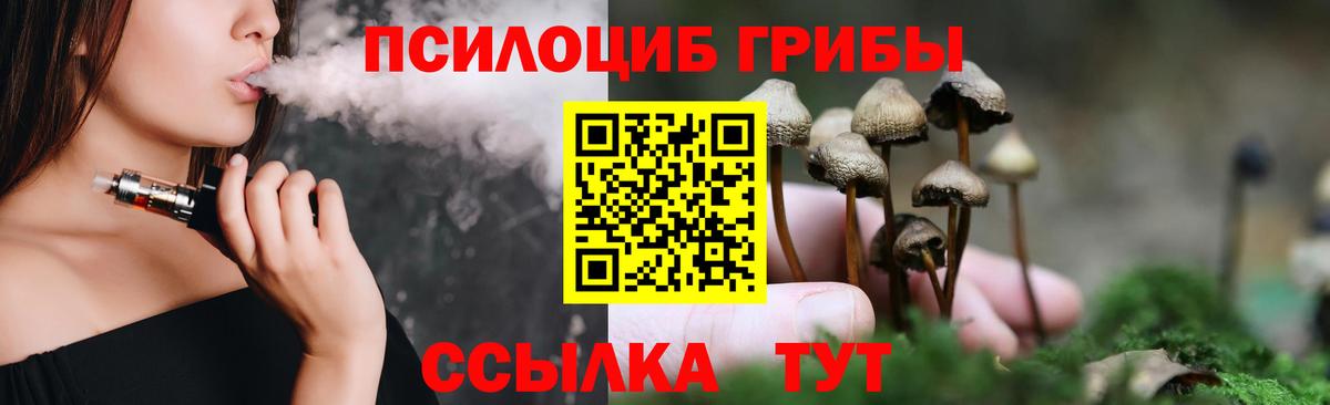 Гуково  купить наркоту  Вход с VPN  Галлюциногенные грибы мухоморы  Галлюциногенные грибы Psilocybe 
